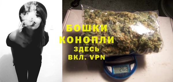 прущие грибы Лиски