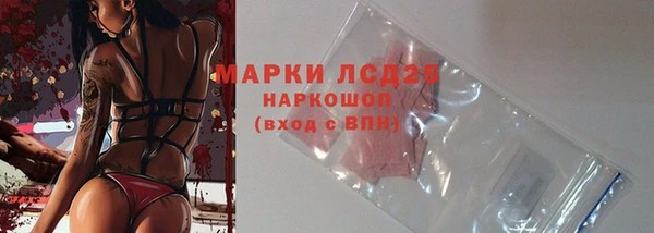 spice Липки