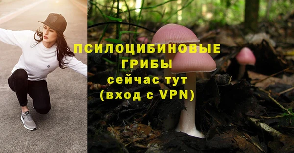 амф Лихославль