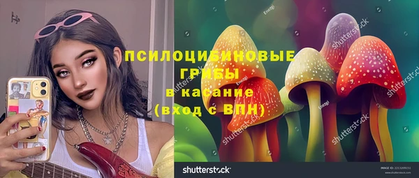 прущие грибы Лиски