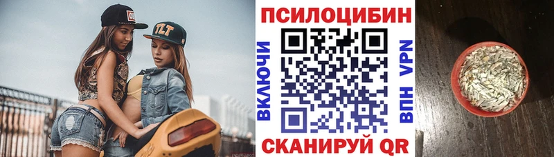 купить  сайты  Магас  Псилоцибиновые грибы ЛСД 